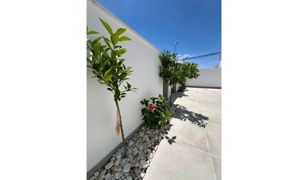 Resale - Bungalow -
Torrevieja - La Siesta - El Salado - Torreta