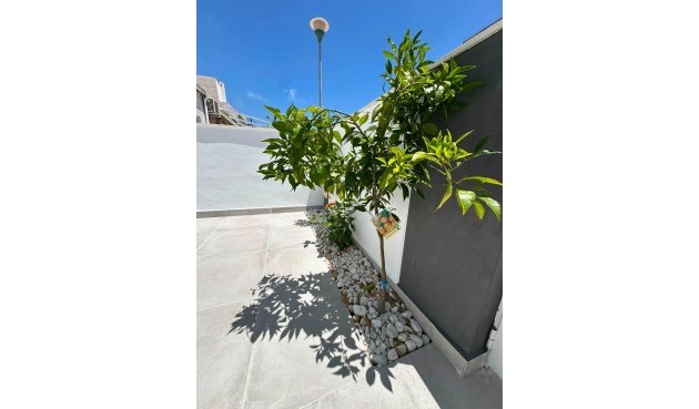 Resale - Bungalow -
Torrevieja - La Siesta - El Salado - Torreta