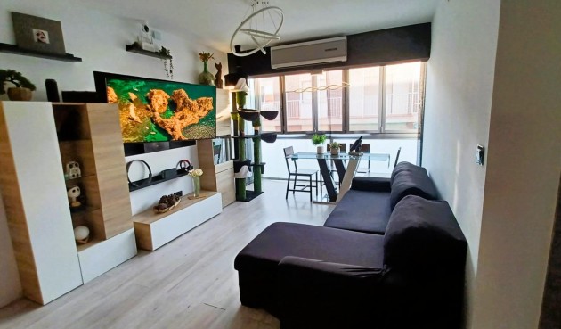 Resale - Penthouse -
Pilar de la Horadada - Costa Blanca