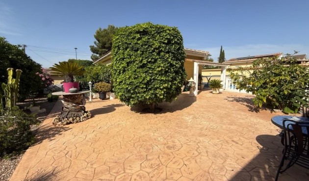 Resale - Villa -
Pinar de Campoverde - Inland