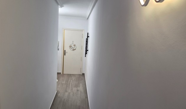 Resale - Apartment -
Torrevieja - Costa Blanca