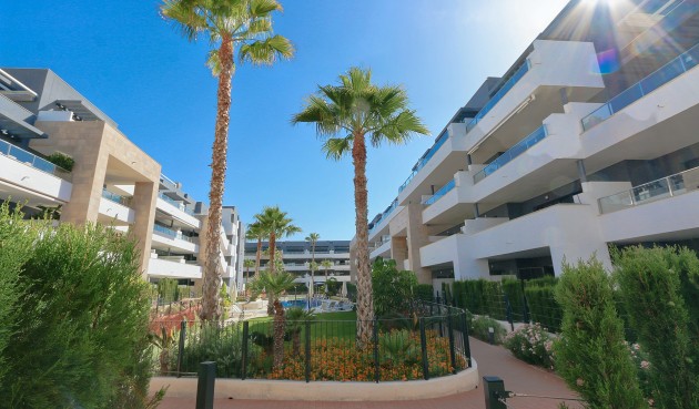 Resale - Apartment -
Playa Flamenca - Costa Blanca