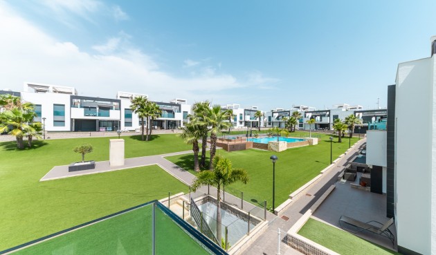 Short Term Rental - Apartment -
Punta Prima - Costa Blanca
