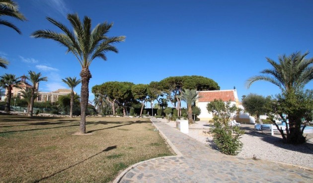 Resale - Bungalow -
Torrevieja - Costa Blanca