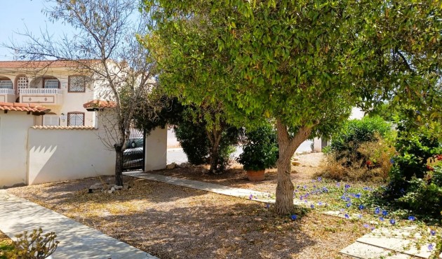 Resale - Bungalow -
Torrevieja - Costa Blanca