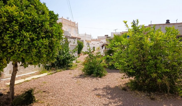 Resale - Bungalow -
Torrevieja - Costa Blanca