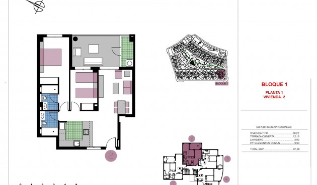 New Build - Apartment -
Pilar de la Horadada - Mil Palmeras