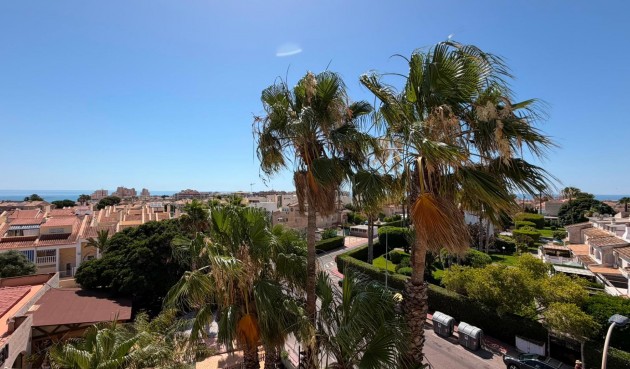 Resale - Apartment -
Torrevieja - Torreblanca