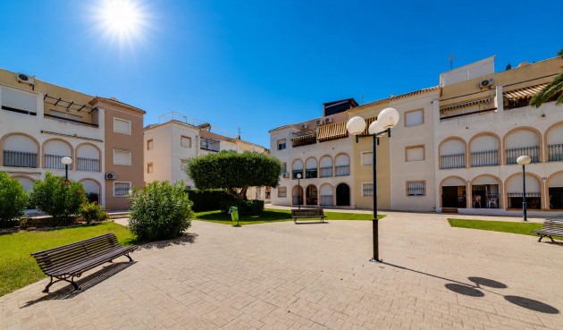 Resale - Bungalow -
Torrevieja - Costa Blanca