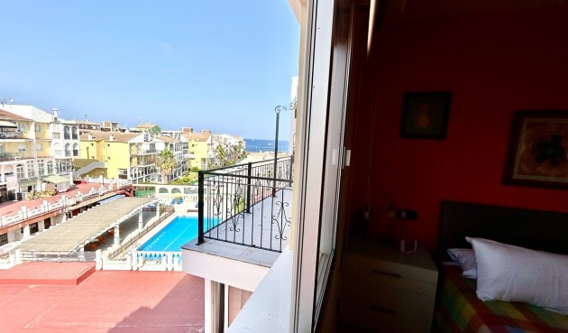 Resale - Apartment -
Torrevieja - Costa Blanca