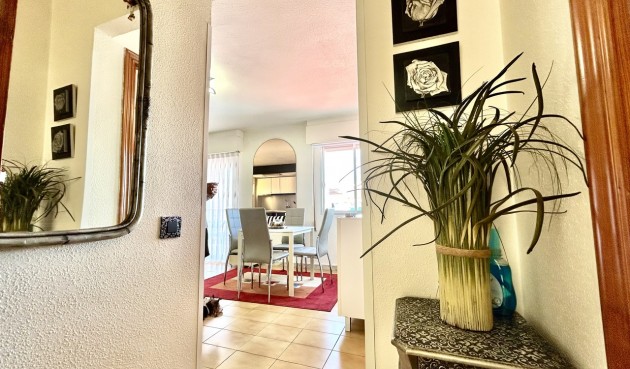 Resale - Apartment -
Torrevieja - Costa Blanca