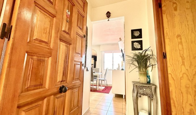 Resale - Apartment -
Torrevieja - Costa Blanca