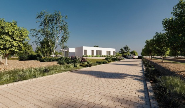 New Build - Villa -
Benejúzar - alta