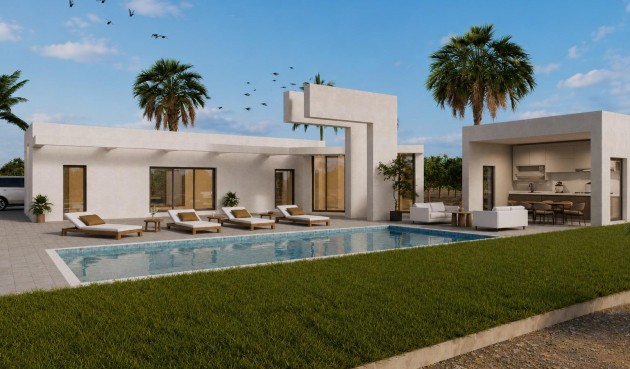 New Build - Villa -
Benejúzar - alta
