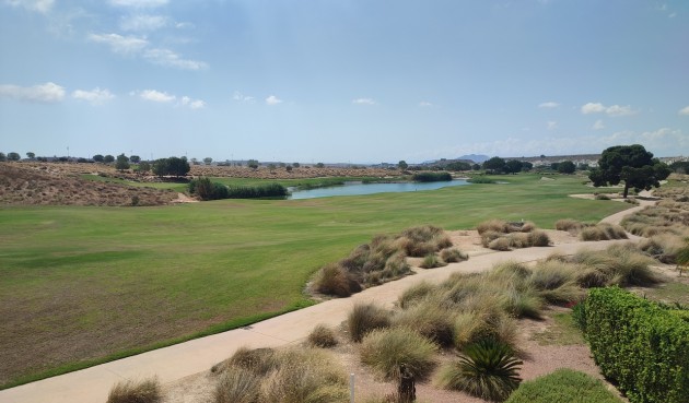Resale - Apartment -
Hacienda Riquelme Golf Resort - Inland