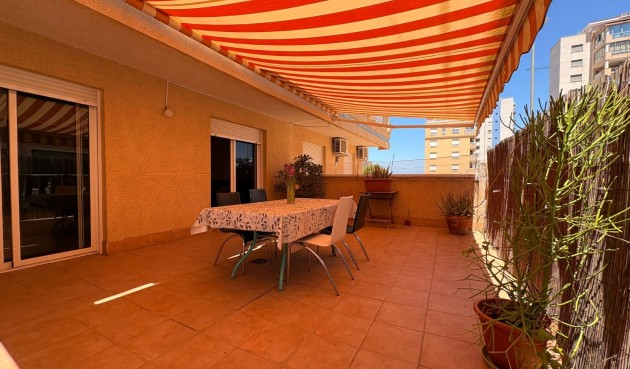 Korttidsleie - Apartment -
Guardamar del Segura - Guardamar