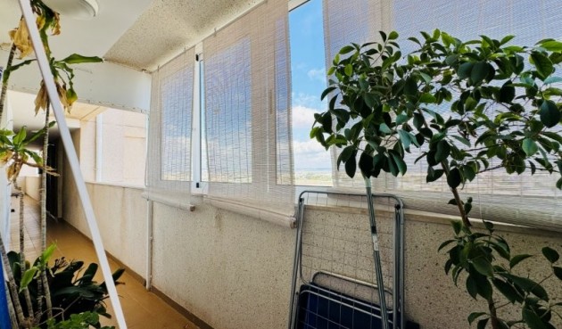 Brukt - Apartment -
Torrevieja - Costa Blanca