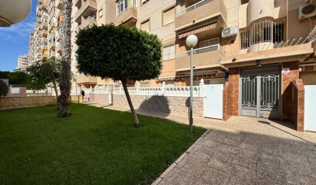 Brukt - Apartment -
Torrevieja - Costa Blanca