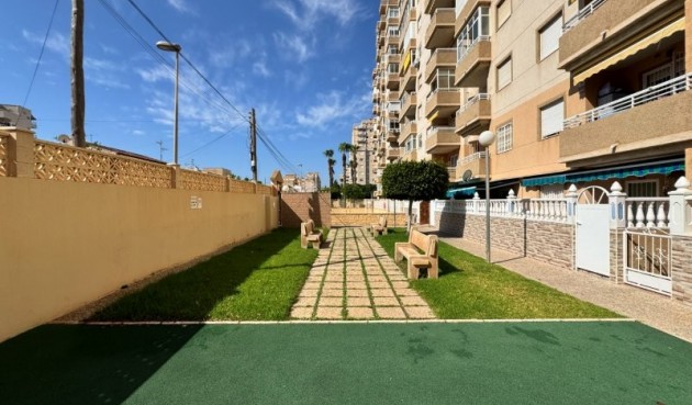 Brukt - Apartment -
Torrevieja - Costa Blanca
