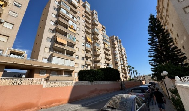 Brukt - Apartment -
Torrevieja - Costa Blanca