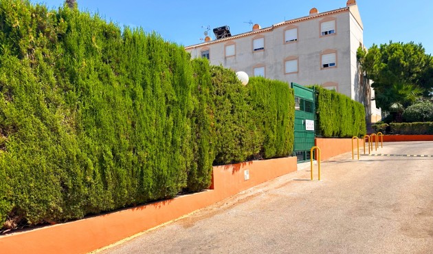 Brukt - Bungalow -
Torrevieja - Costa Blanca