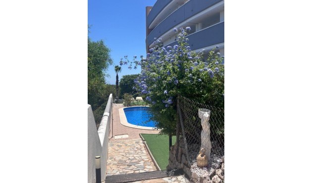 Resale - Apartment -
Villamartin - Costa Blanca