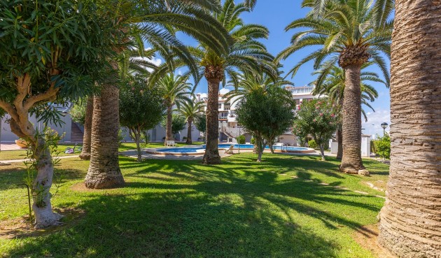 Brukt - Apartment -
La Mata - Costa Blanca
