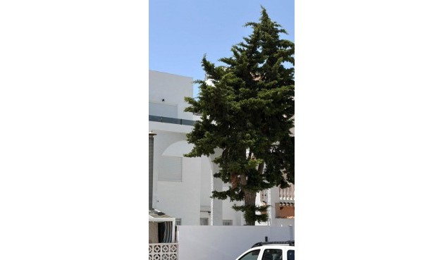 Brukt - Town House -
Torrevieja - Calas Blanca