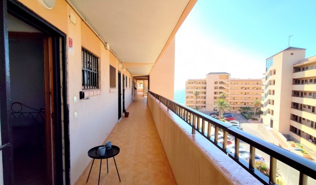 Återförsäljning - Apartment -
Torrevieja - Costa Blanca