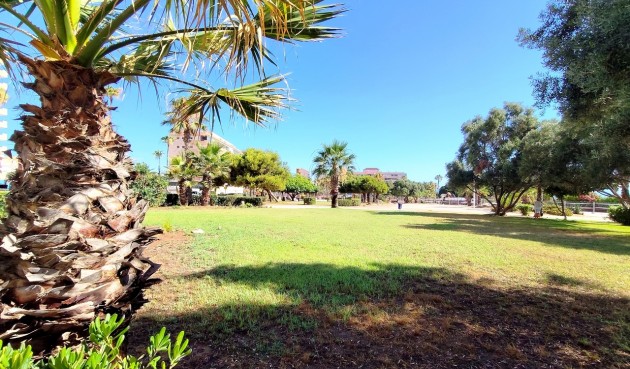 Återförsäljning - Apartment -
Torrevieja - Costa Blanca