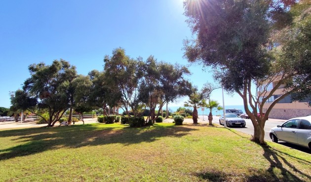 Återförsäljning - Apartment -
Torrevieja - Costa Blanca