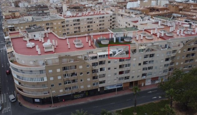 Brukt - Apartment -
Torrevieja - Costa Blanca