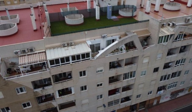 Brukt - Apartment -
Torrevieja - Costa Blanca