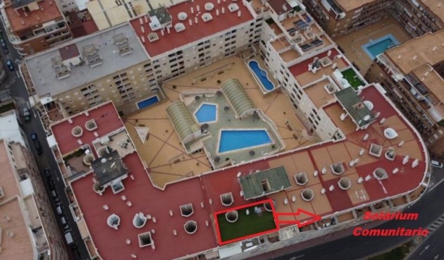 Brukt - Apartment -
Torrevieja - Costa Blanca