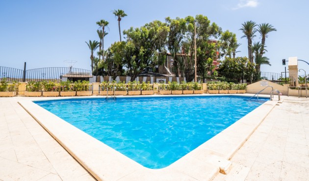 Brukt - Apartment -
Torrevieja - Costa Blanca