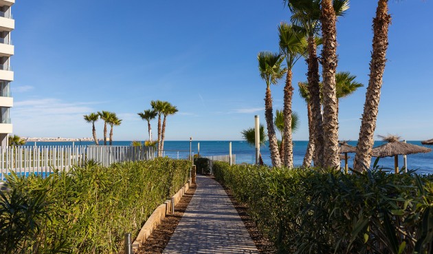 Brukt - Apartment -
Torrevieja - Costa Blanca