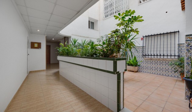 Brukt - Apartment -
Torrevieja - Estacion De Autobuses