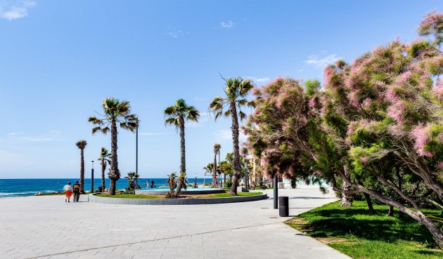 Brukt - Apartment -
Torrevieja - Estacion De Autobuses