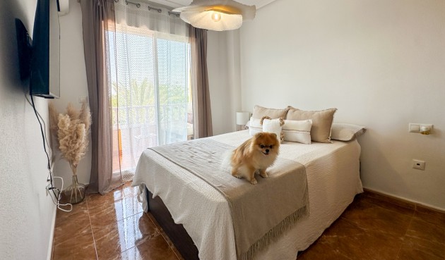 Brukt - Apartment -
Guardamar del Segura - Costa Blanca