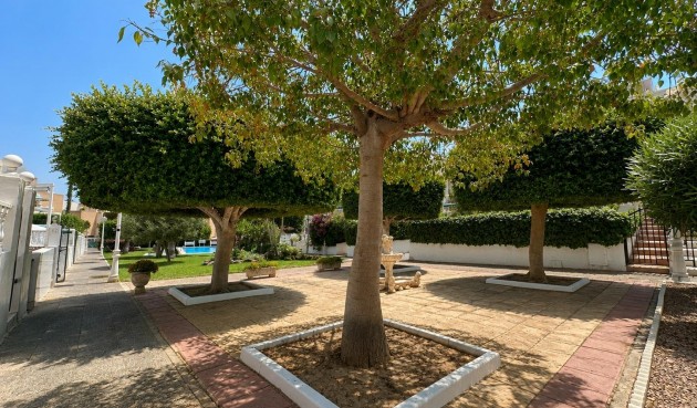 Brukt - Bungalow -
Torrevieja - La Mata