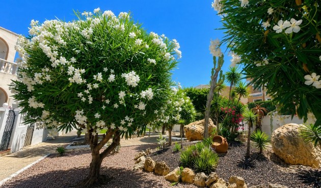 Brukt - Bungalow -
Torrevieja - La Mata