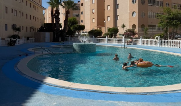 Reventa - Apartment -
Torrevieja - Costa Blanca
