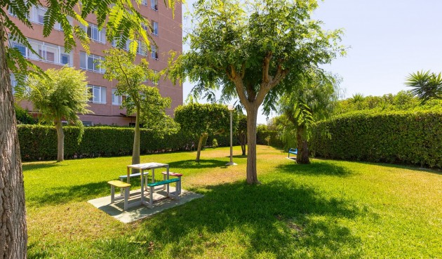 Resale - Apartment -
La Mata - Costa Blanca
