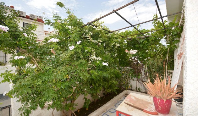 Resale - Town House -
Torrevieja - Costa Blanca