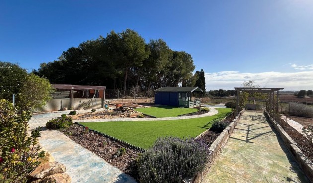 Resale - Villa -
Torre Pacheco - Inland