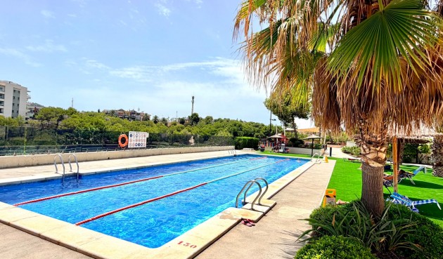 Resale - Apartment -
Orihuela Costa - Costa Blanca