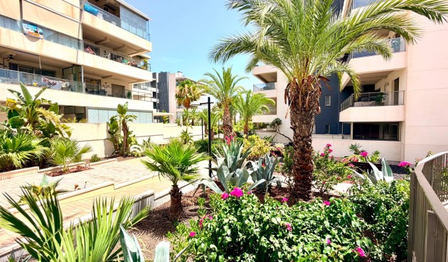 Resale - Apartment -
Orihuela Costa - Costa Blanca