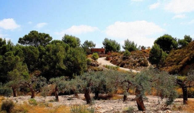 Resale - Villa -
Murcia - Inland