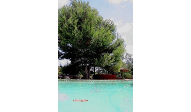 Resale - Villa -
Murcia - Inland