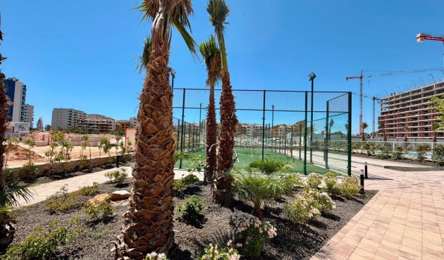 Resale - Apartment -
Torrevieja - Punta Prima